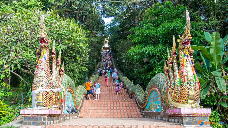 Chiang Mai: Doi Suthep, Wat Pha Lat & Wat Umong Spanish Tour - Spanish Guide Quality, Small-Group Size, and Price Value