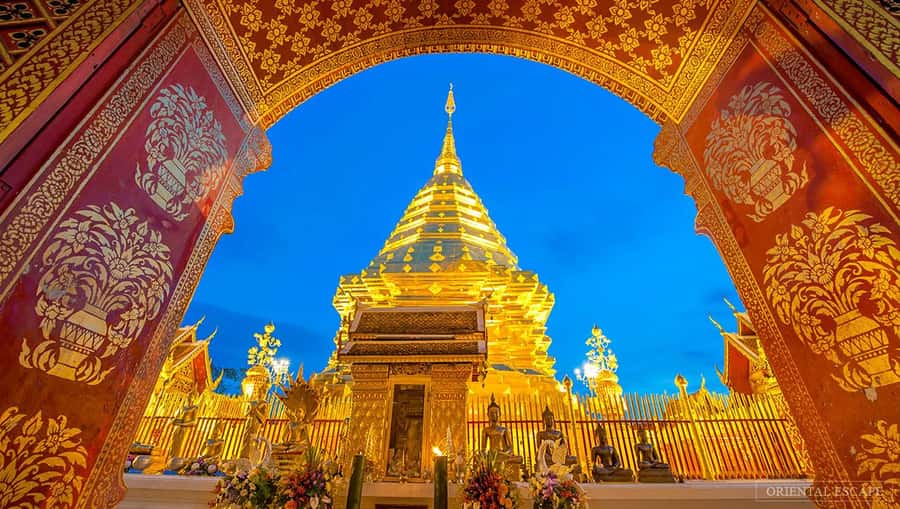 Chiang Mai: Doi Suthep, Wat Pha Lat & Wat Umong Spanish Tour - Wat Umong Cave Temple, Meditation Grounds at Chiang Mai’s Edge
