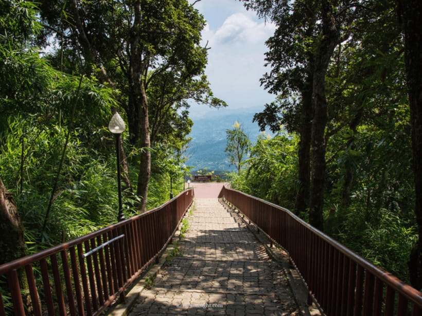 Chiang Mai: Doi Tung, Doi Mae, Salong Day Trip with Driver - Morning departure from Chiang Mai: the ride sets the tone