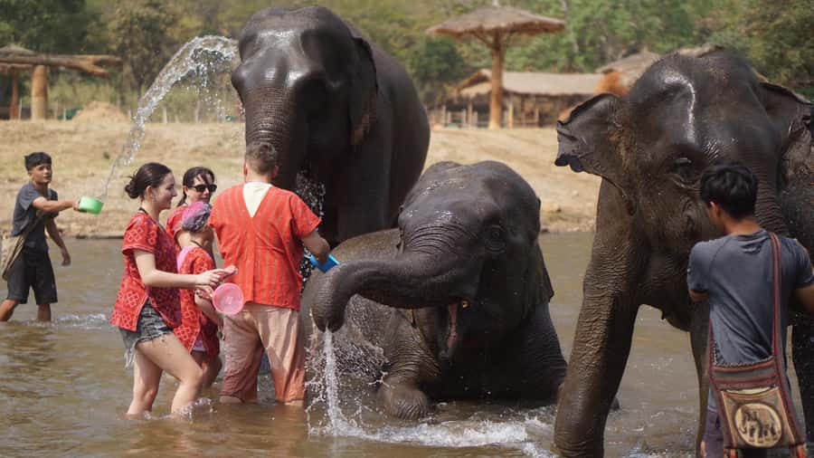 Chiang Mai: Elephant care & Long Neck &Sticky Waterfall Tour - Chiang Mai in one packed day: Karen culture, elephants, and Bua Tong