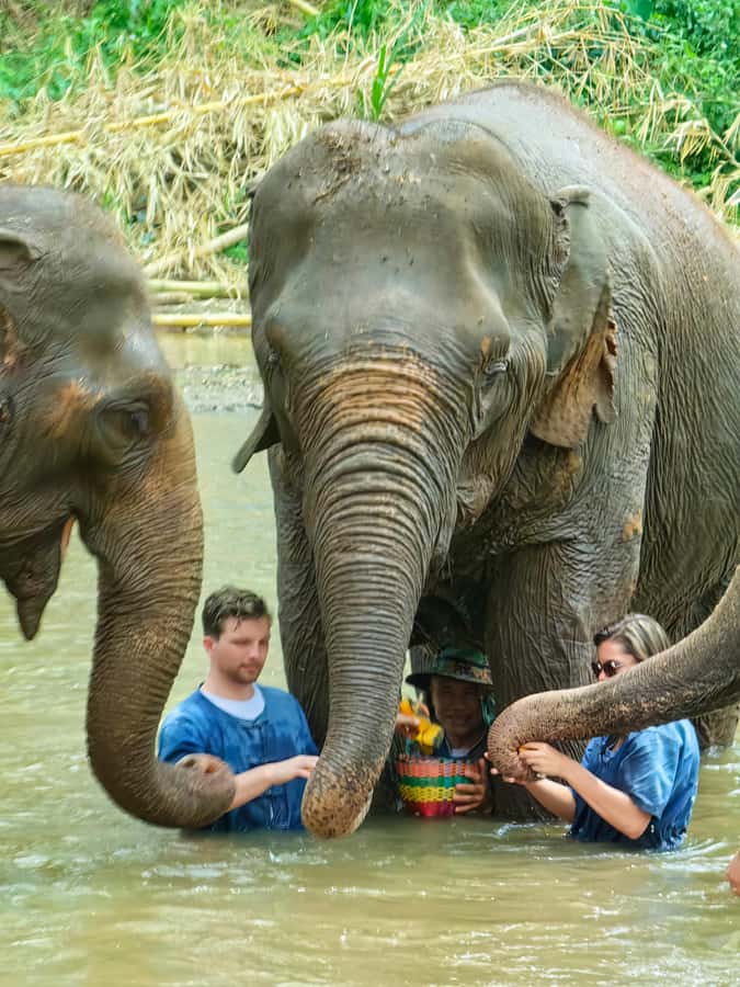 Chiang Mai : Elephant Care & Long necked village - Key Things I’d Put on Your Radar