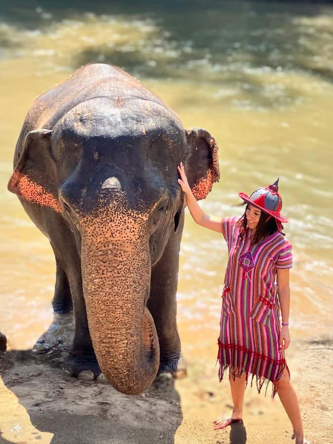 Chiang Mai : Elephant Care & Long necked village - Elephant Care Time: Feeding, Playing, and Bathing