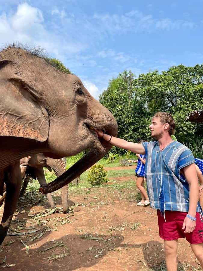 Chiang Mai: Elephant Dream Project Sanctuary - Full Day - What I think you will get most out of