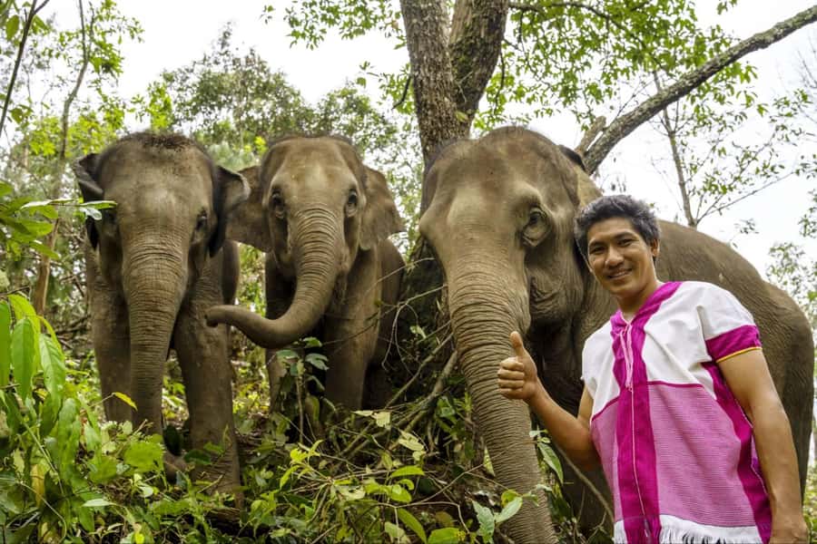 Chiang Mai: Elephant Dream Project Sanctuary - Full Day - Waterfall time: your calm reset before heading back