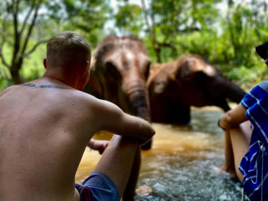 Chiang Mai: Elephant Dream Project Sanctuary - Full Day - Who the small group size helps most