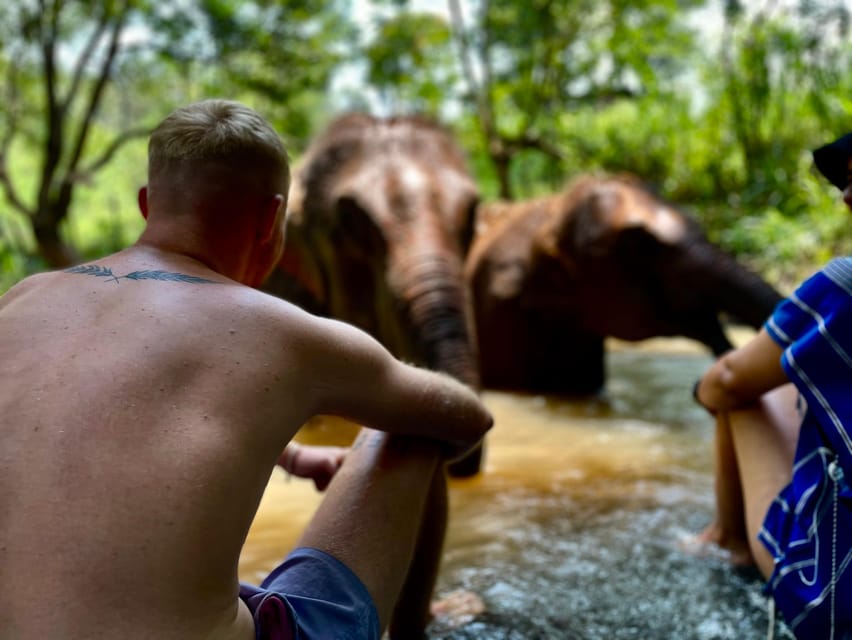 Chiang Mai: Elephant Dream Project Sanctuary - Half-Day - Key Highlights Worth Planning For