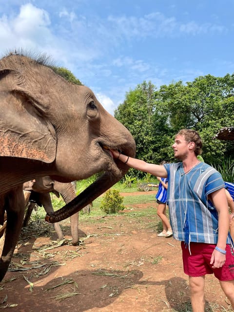 Chiang Mai: Elephant Dream Project Sanctuary - Half-Day - Feeding Time and Jungle Walks: What Your Elephant Day Feels Like