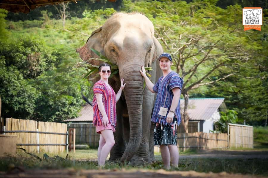 Chiang Mai Elephant Jungle Sanctuary &Mama Noi Cooking Class - Elephant Jungle Sanctuary in Chiang Mai, How This Day Actually Works
