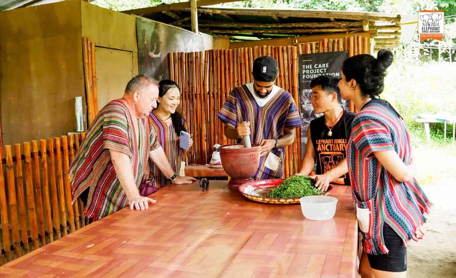 Chiang Mai Elephant Jungle Sanctuary &Mama Noi Cooking Class - Walking to the River and Helping Bathe the Elephants