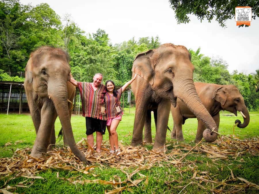 Chiang Mai Elephant Jungle Sanctuary &Mama Noi Cooking Class - The Hands-On Thai Cooking Class With Mama Noi