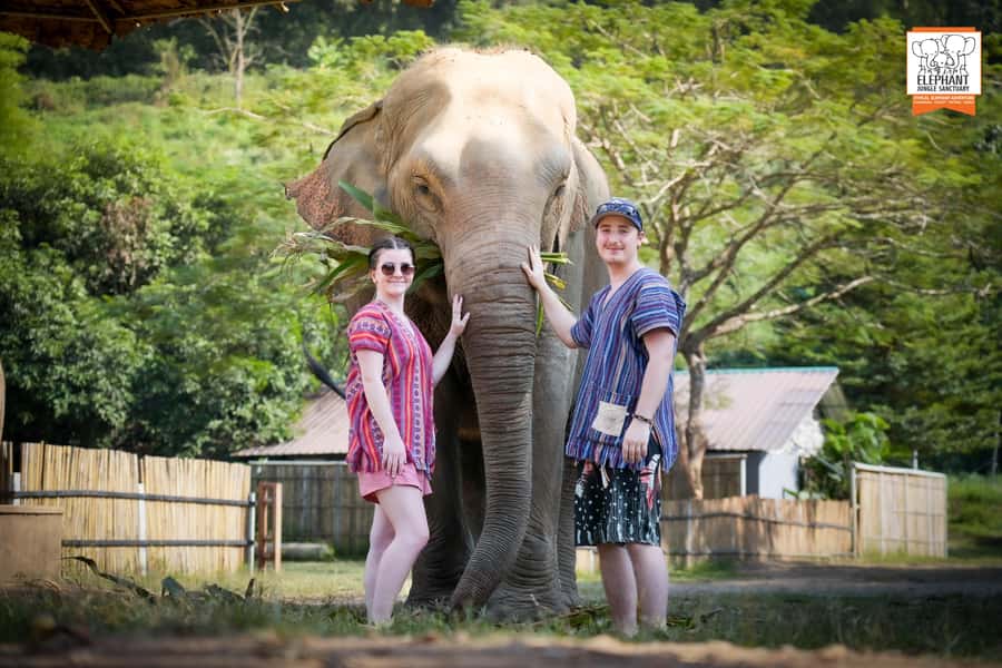Chiang Mai: Elephant Jungle Sanctuary with Lunch & Transfer - The Mud Spa: What You Actually Do (And Why It Feels Different)