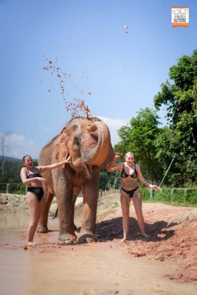 Elephant Jungle Sanctuary with Lunch & Transfer