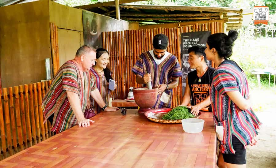 Chiang Mai: Elephant Jungle Sanctuary with Lunch & Transfer - Price and Value: Is $61 Worth It?