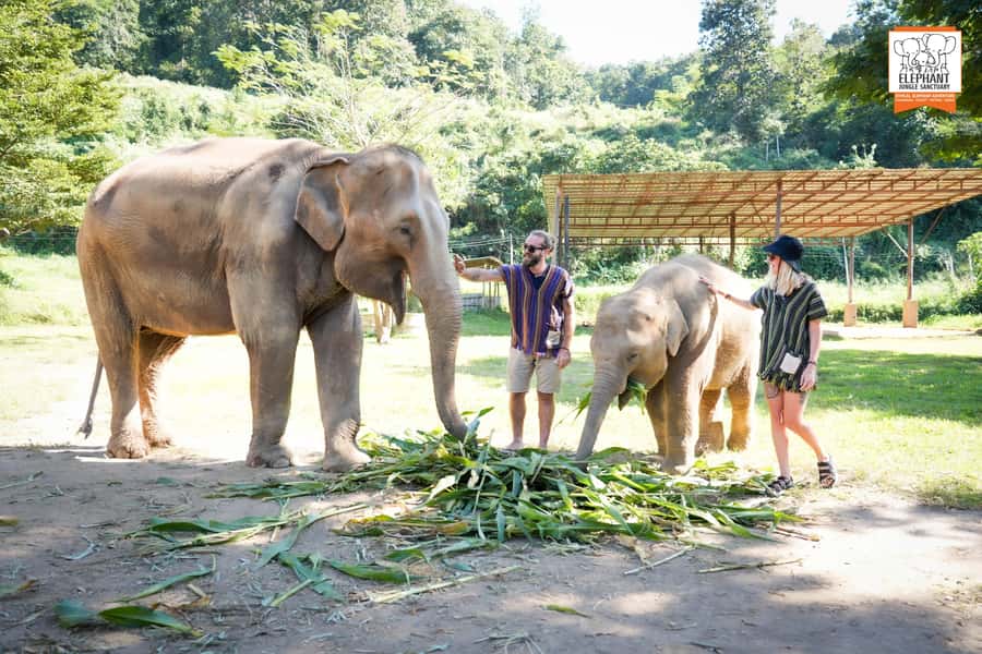Chiang Mai: Elephant Jungle Sanctuary with Lunch & Transfer - Practical Packing Tips for a Smooth Mud and River Day