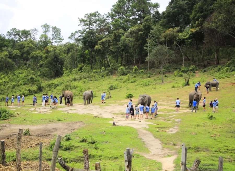 Chiang Mai Elephant Recovery Center, Doi Inthanon and Hiking - Morning Pickup and the Road Out of Chiang Mai
