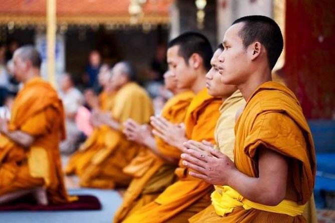 Chiang Mai Elephant Sanctuary and Temples Tour in Spanish - Price and Value: What $173.52 Covers