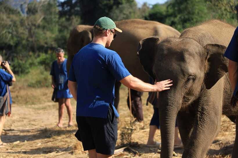 Chiang Mai: Elephant Sanctuary Bamboo Raft & Padthai Cooking - “River time plus elephants” is why this day works
