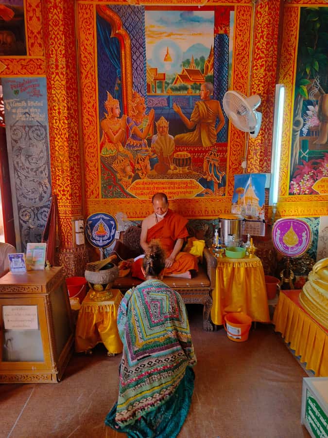 Chiang Mai: Elephant Sanctuary Experience & Doi Suthep Tour - TripGuru Signature small group: what the max 9 people changes