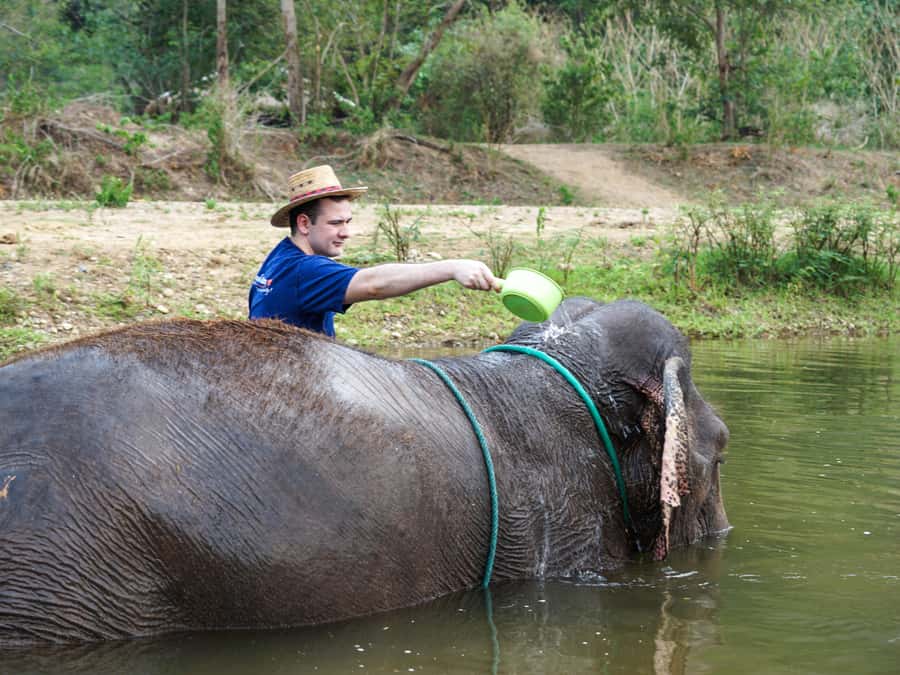 Chiang Mai: Elephant Sanctuary Experience & Doi Suthep Tour - Lanna Kingdom Elephant Sanctuary: what you do and why it matters