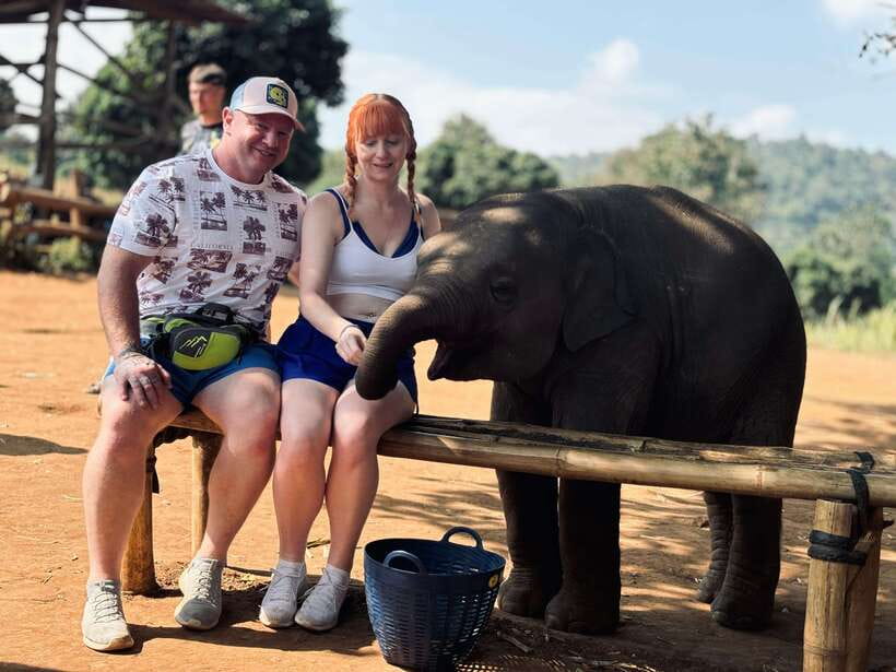 Chiang Mai: Elephant Sanctuary Feeding Program Half-Day Tour - Key Things That Make This Tour Worth It