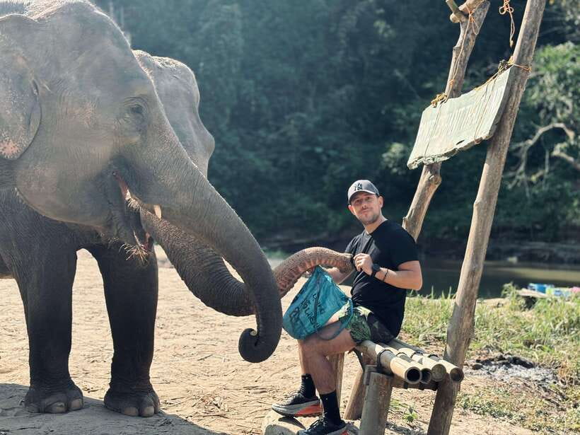 Chiang Mai: Elephant Sanctuary Feeding Program Half-Day Tour - Herbal Treats and Learning the Elephants’ Daily Logic