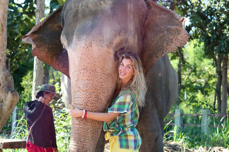 Chiang Mai: Elephant Sanctuary Guided Tour in Spanish - Key highlights you’ll actually feel