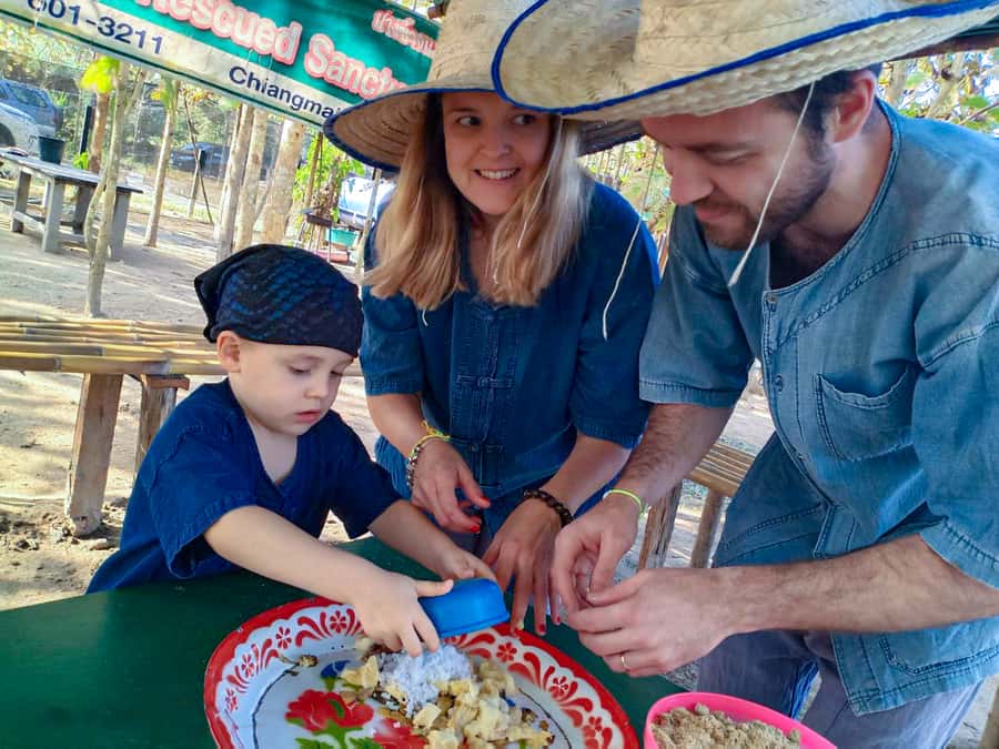 Chiang Mai: Elephant Sanctuary Guided Tour in Spanish - Walking the Natural Jungle and River Stretch