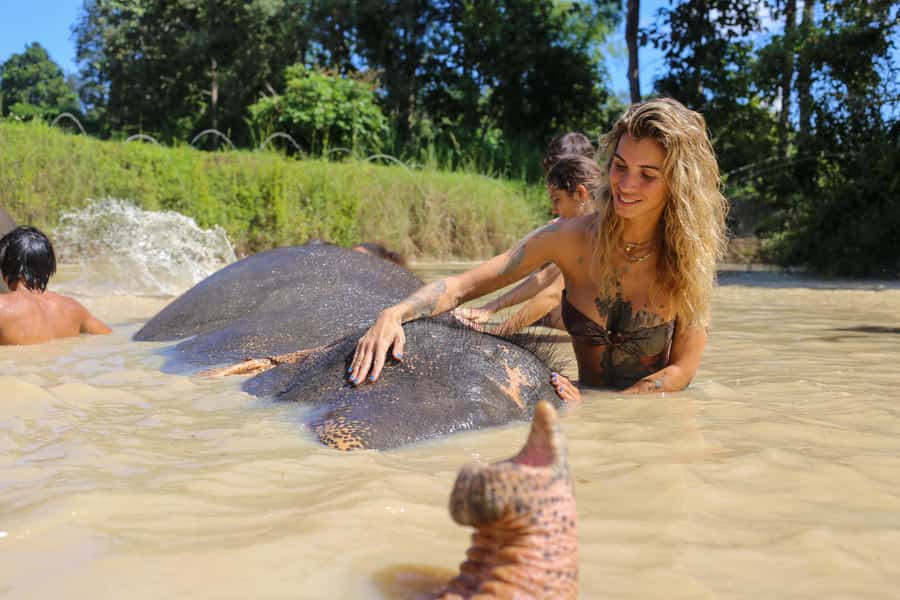 Chiang Mai: Elephant Sanctuary Guided Tour in Spanish - What to Pack for a Wet, Sunny Morning