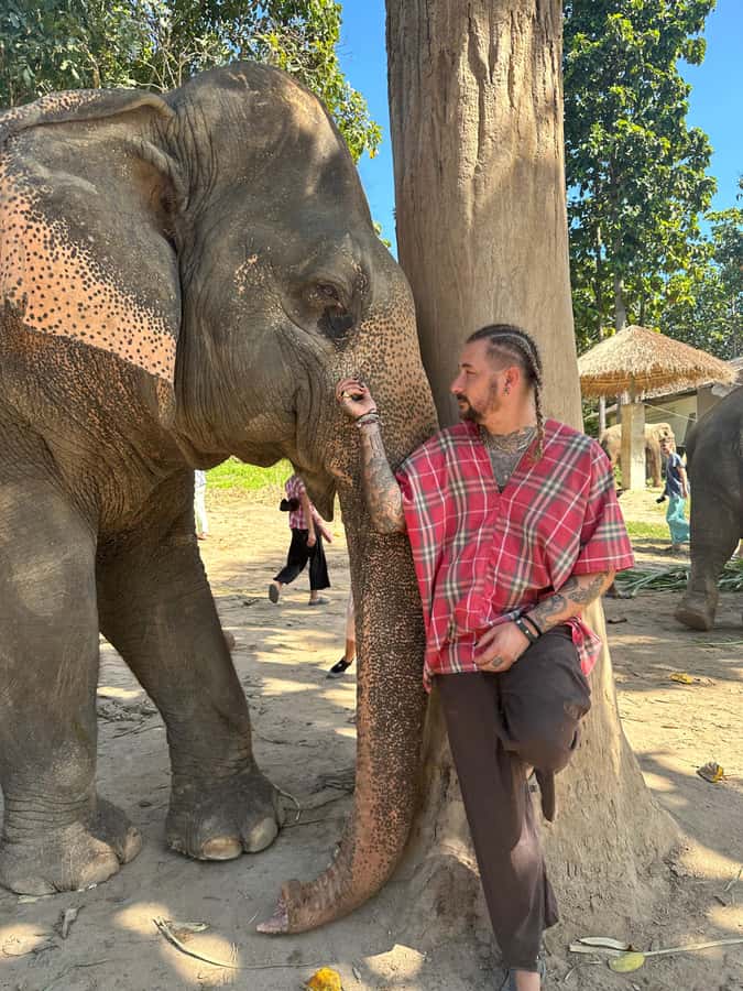 Chiang Mai: Elephant Sanctuary Guided Tour in Spanish - Spanish Guide Lessons That Make the Day Make Sense