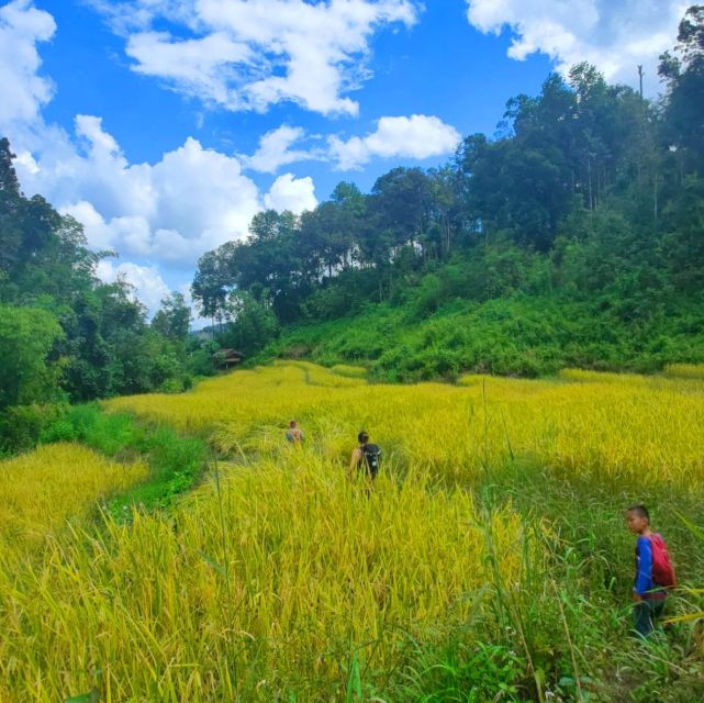 Chiang Mai: Elephant Sanctuary & Jungle Trek w/ Waterfall - The route starts in Chiang Mai old town, then heads south to Mae Wang