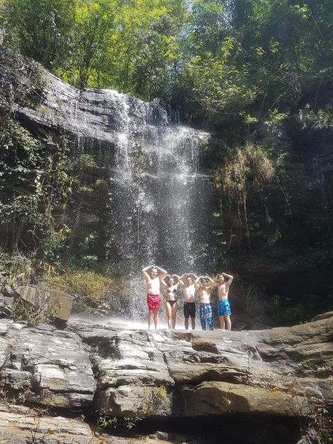 Chiang Mai: Elephant Sanctuary & Jungle Trek w/ Waterfall - Elephant sanctuary visit: feeding and bathing with real responsibility