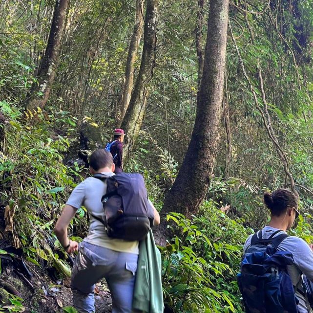 Chiang Mai: Elephant Sanctuary & Jungle Trek w/ Waterfall - Shan village lunch plus wildlife viewing: cultural stop, not just scenery