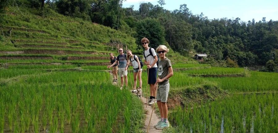 Chiang Mai: Elephant Sanctuary & Jungle Trek w/ Waterfall - What to pack, and what can trip you up