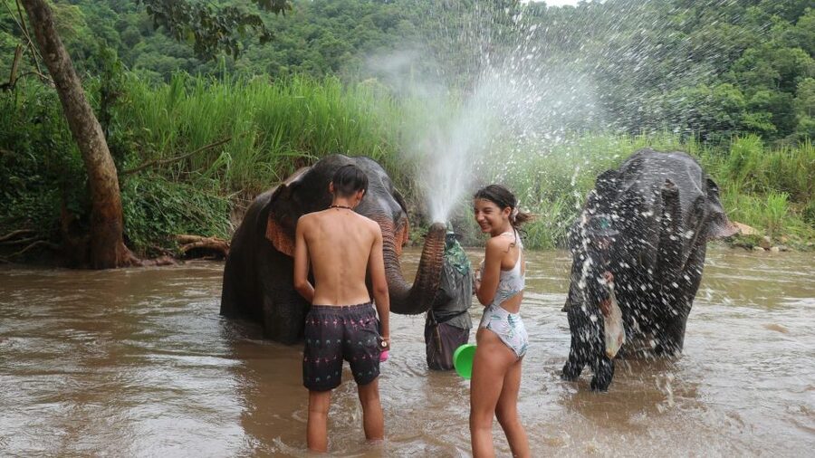 Chiang Mai: Elephant Sanctuary & Jungle Trek w/ Waterfall - Should you book the Chiang Mai Elephant Sanctuary and Jungle Trek?