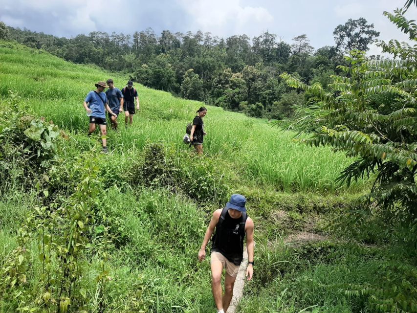 Chiang Mai: Elephant Sanctuary & Jungle Trek w/ Waterfall - Bamboo rafting on the Mae Wang River: calm water, active sun time
