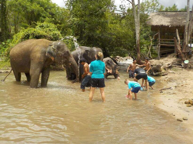 Chiang Mai: Elephant Sanctuary Local Hill Tribe Caretakers - Mae Wang Waterfall Trek: A One-Hour Forest Reset