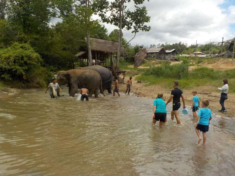 Chiang Mai: Elephant Sanctuary Local Hill Tribe Caretakers - What to Bring (So You Actually Enjoy the River Bath)