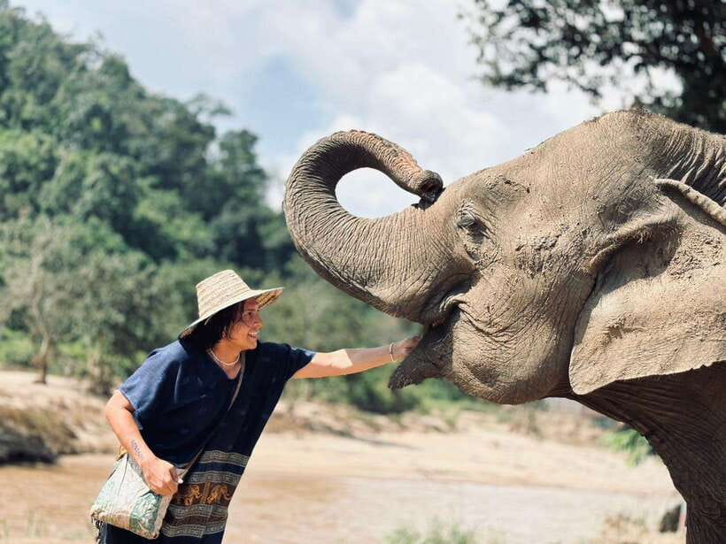 Chiang Mai: Elephant Sanctuary, Long Neck & Sticky Waterfall - The itinerary in plain English: sanctuary, village, then sticky waterfall