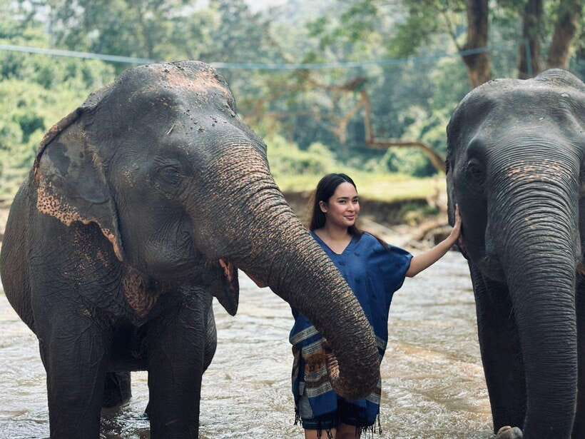 Chiang Mai: Elephant Sanctuary, Long Neck & Sticky Waterfall - Hotel pickup, meeting point, and getting ready for the day