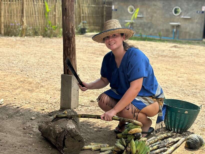 Chiang Mai: Elephant Sanctuary, Long Neck & Sticky Waterfall - Lunch break with real Thai dishes, fruit, and snacks