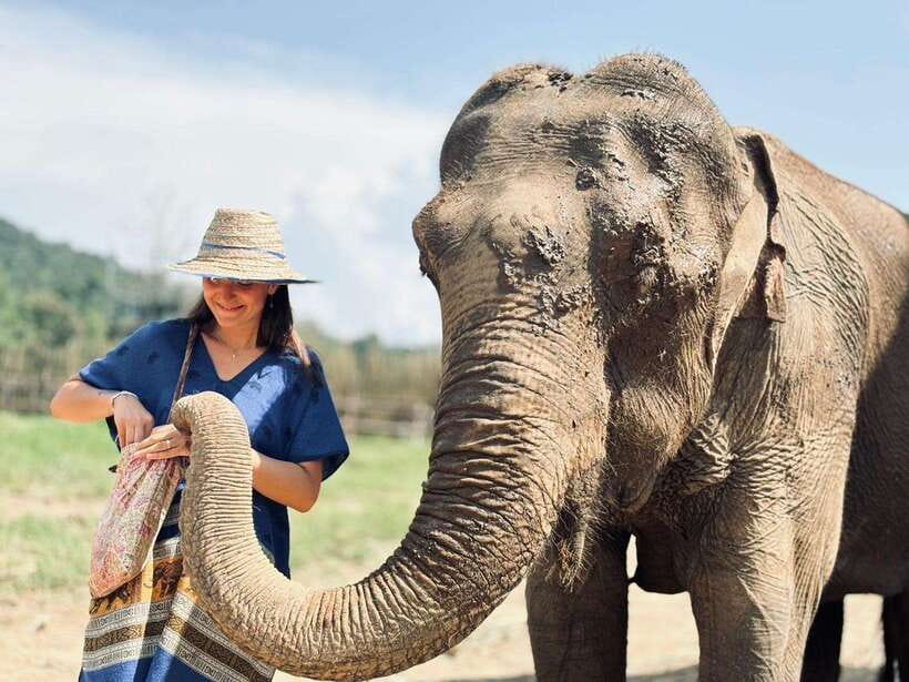 Chiang Mai: Elephant Sanctuary, Long Neck & Sticky Waterfall - Price and value: $63 for 9 hours of meals, entry, and activities