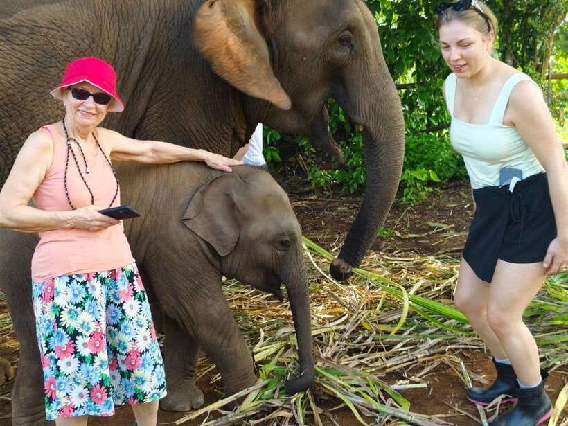 Chiang Mai: Elephant Sanctuary, Monk Trail & Doi Suthep Tour - Wat Pha Lat and the Monk Trail in the Jungle