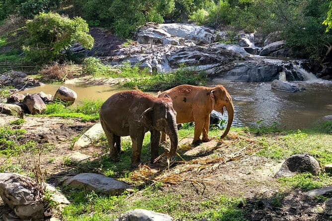 Chiang Mai Elephant Sanctuary Observation and Bamboo Rafting - Off-road transport and what to pack so the day stays comfortable
