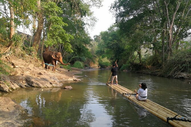 Chiang Mai Elephant Sanctuary Observation and Bamboo Rafting - Who should book this Chiang Mai elephant and bamboo rafting combo