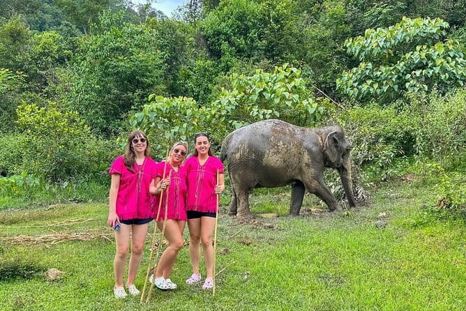 Chiang Mai Elephant Sanctuary Observation and Bamboo Rafting - The elephant interaction rules that matter for your expectations
