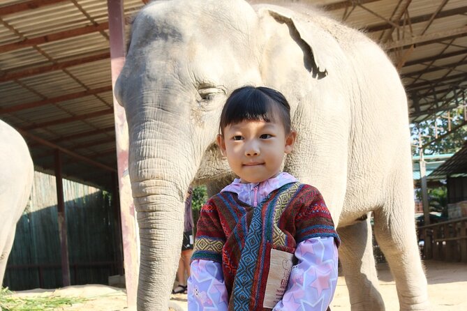 Chiang Mai Elephant Sanctuary Small Group Ethical Tour - Ethical elephant time in Mae Taeng country