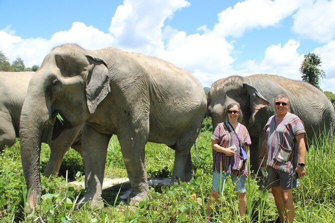 Chiang Mai Elephant Sanctuary Small Group Ethical Tour - Elephant Jungle Sanctuary, views, and your role