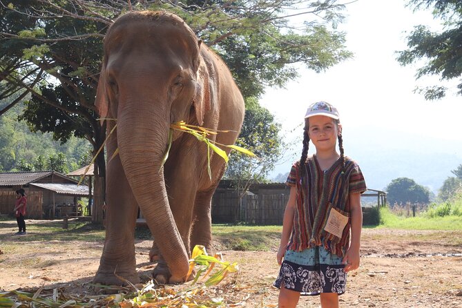 Chiang Mai Elephant Sanctuary Small Group Ethical Tour - Feeding, observation, and respectful elephant behavior