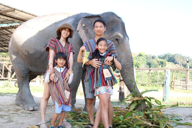 Chiang Mai Elephant Sanctuary Small Group Ethical Tour - Small group dynamics and guide Q&A