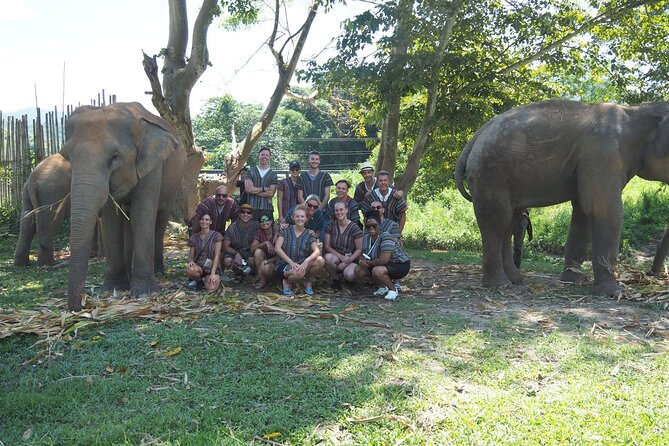Chiang Mai Elephant Sanctuary Small Group Ethical Tour - Price and what you get for $90